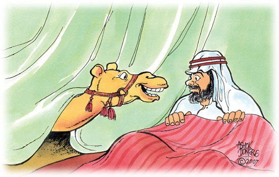 Nos wielbłąda w namiocie